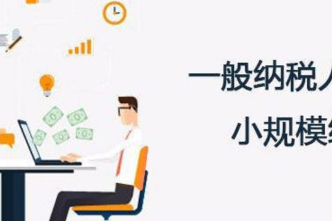拉薩的一般納稅人和小規(guī)模納稅人納稅方式以及認定資格是什么？同內地企業(yè)有區(qū)別嗎？
