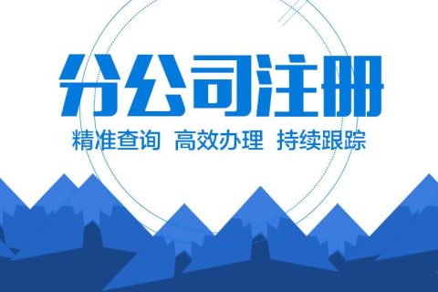 在拉薩設(shè)立分公司的流程、所需材料、辦理時間