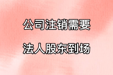 拉薩公司注銷，需要法人、股東到場嗎？
