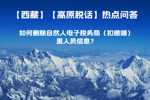 如何刪除西藏自然人電子稅務(wù)局（扣繳端）里人員信息？