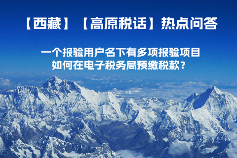 一個報驗用戶名下有多項報驗項目，如何在電子稅務(wù)局預(yù)繳稅款？