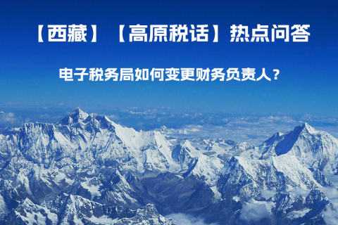 電子稅務(wù)局如何變更財務(wù)負(fù)責(zé)人？