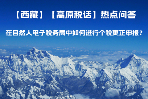 在自然人電子稅務(wù)局中如何進(jìn)行個稅更正申報(bào)？