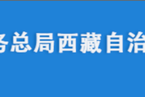 電腦更換后，自然人電子稅務(wù)局扣繳端申報(bào)收入額如何進(jìn)行累計(jì)？