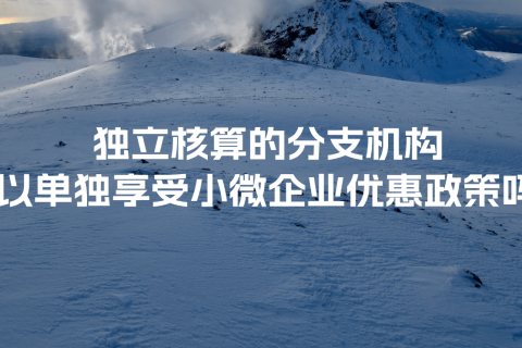 獨立核算的分支機構可以單獨享受小微企業(yè)優(yōu)惠政策嗎？