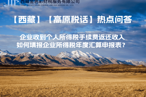 企業(yè)收到個(gè)人所得稅手續(xù)費(fèi)返還收入，如何填報(bào)企業(yè)所得稅年度匯算申報(bào)表？